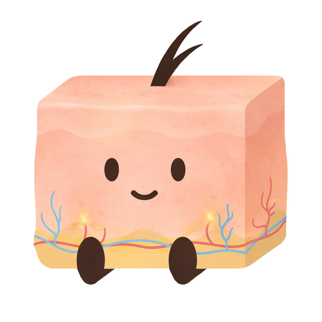 Dermally MY